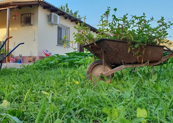 Guest house Casa Enka Tuzla