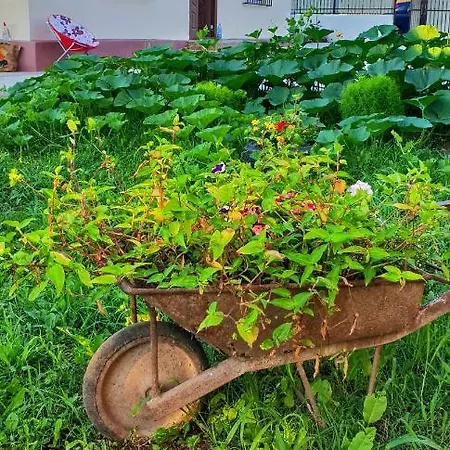 Konukevi Casa Enka 3*